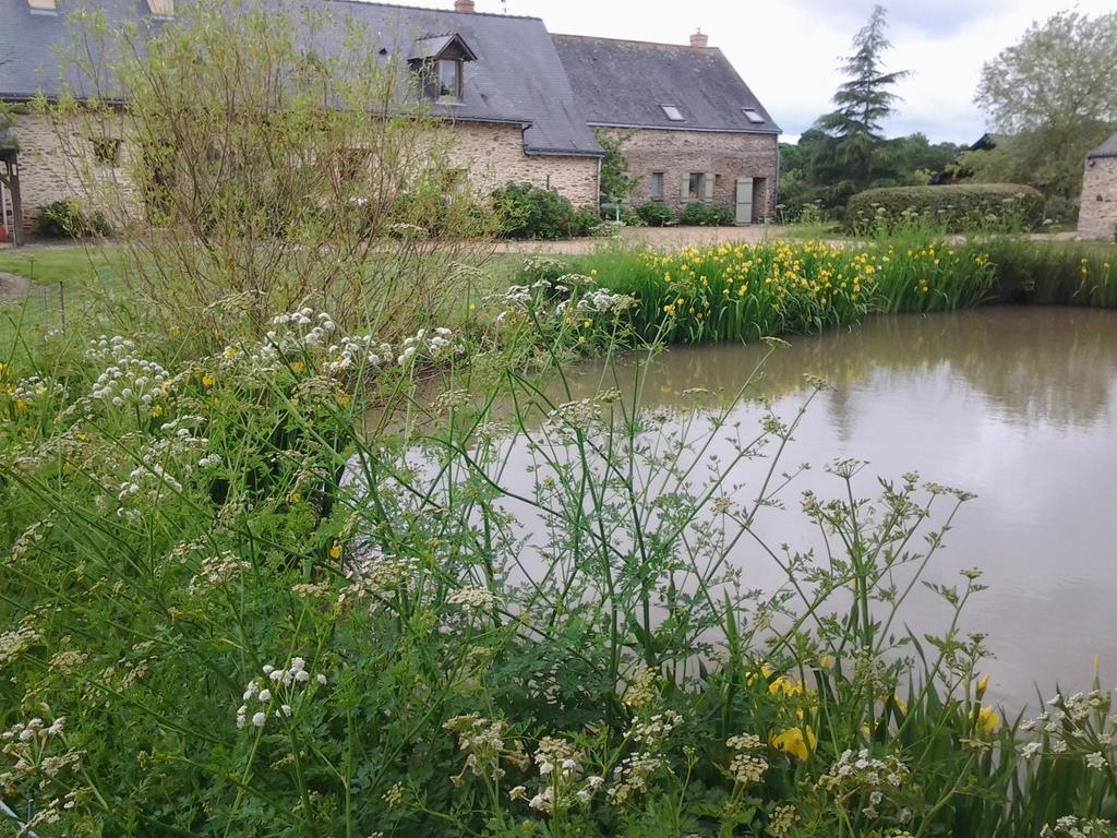 Grand Mainguet Bed & Breakfast Saint-Lambert-la-Potherie ภายนอก รูปภาพ